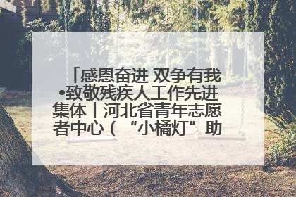 感恩奋进 双争有我•致敬残疾人工作先进集体丨河北省青年志愿者中心（“小橘灯”助残接力计划实施团队）：用温暖陪伴，守护特殊孩子成长