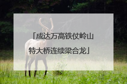 成达万高铁仗岭山特大桥连续梁合龙