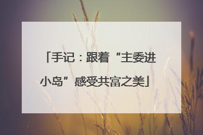 手记：跟着“主委进小岛”感受共富之美