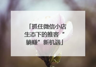 抓住微信小店生态下的推客“躺赚”新机遇