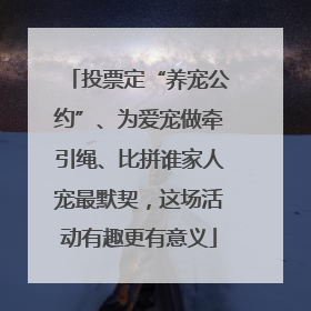 投票定“养宠公约”、为爱宠做牵引绳、比拼谁家人宠最默契，这场活动有趣更有意义