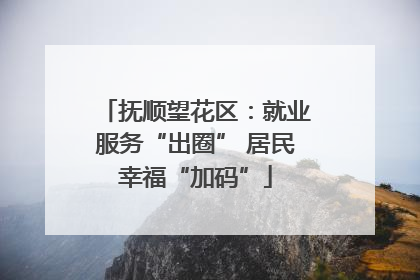 抚顺望花区：就业服务“出圈” 居民幸福“加码”