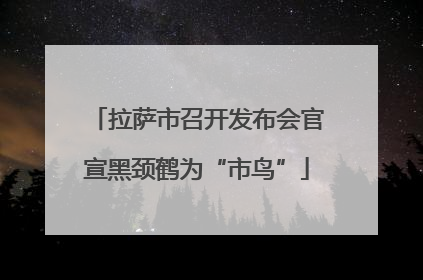 拉萨市召开发布会官宣黑颈鹤为“市鸟”