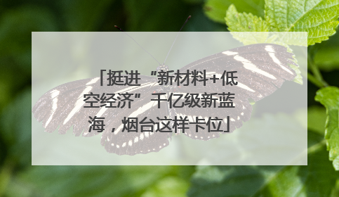 挺进“新材料+低空经济”千亿级新蓝海，烟台这样卡位