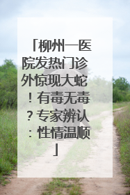 柳州一医院发热门诊外惊现大蛇！有毒无毒？专家辨认：性情温顺