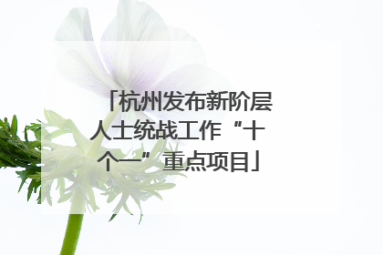 杭州发布新阶层人士统战工作“十个一”重点项目