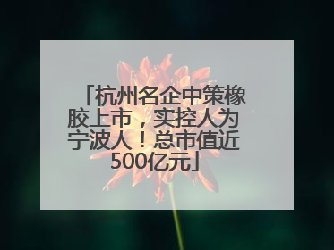 杭州名企中策橡胶上市，实控人为宁波人！总市值近500亿元