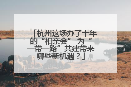 杭州这场办了十年的“相亲会” 为“一带一路”共建带来哪些新机遇？