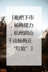 枇杷下市，杨梅接力，杭州超山千亩杨梅正“红妆”
