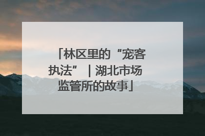 林区里的“宠客执法”｜湖北市场监管所的故事