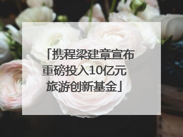 携程梁建章宣布重磅投入10亿元旅游创新基金