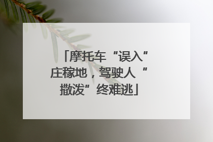 摩托车“误入”庄稼地，驾驶人“撒泼”终难逃