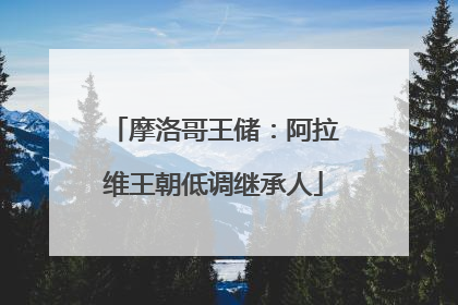 摩洛哥王储：阿拉维王朝低调继承人