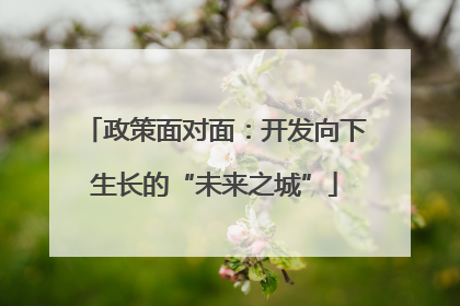 政策面对面：开发向下生长的“未来之城”