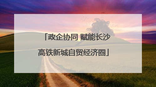 政企协同 赋能长沙高铁新城自贸经济圈