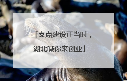 支点建设正当时，湖北喊你来创业