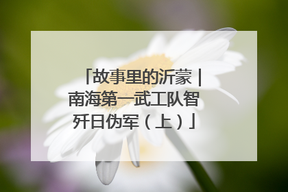 故事里的沂蒙｜南海第一武工队智歼日伪军（上）