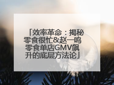 效率革命：揭秘零食很忙&赵一鸣零食单店GMV飙升的底层方法论