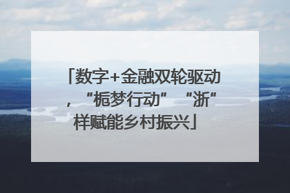 数字+金融双轮驱动，“栀梦行动”“浙”样赋能乡村振兴