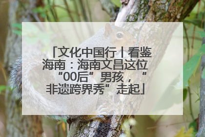 文化中国行丨看鉴海南：海南文昌这位“00后”男孩，“非遗跨界秀”走起