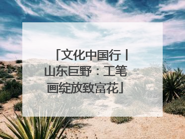 文化中国行丨山东巨野：工笔画绽放致富花
