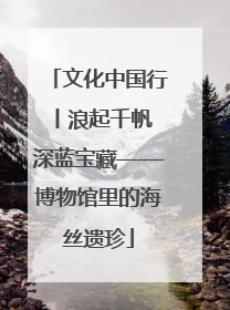 文化中国行丨浪起千帆 深蓝宝藏——博物馆里的海丝遗珍