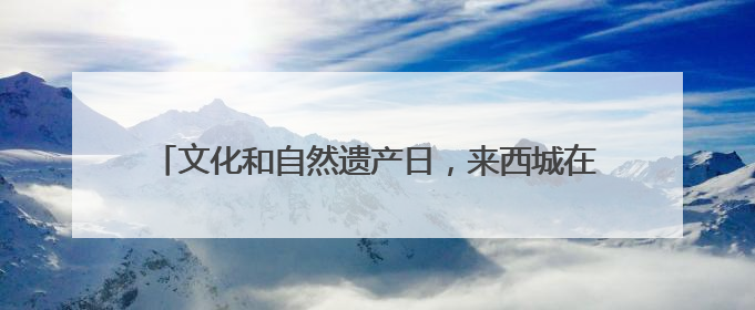 文化和自然遗产日，来西城在历代帝王庙博物馆里遇见非遗