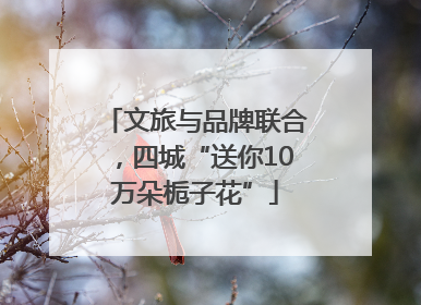 文旅与品牌联合，四城“送你10万朵栀子花”