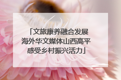 文旅康养融合发展 海外华文媒体山西高平感受乡村振兴活力
