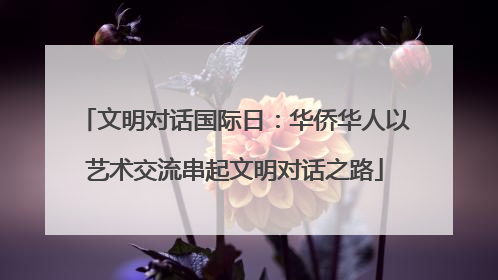文明对话国际日：华侨华人以艺术交流串起文明对话之路