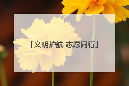 文明护航 志愿同行