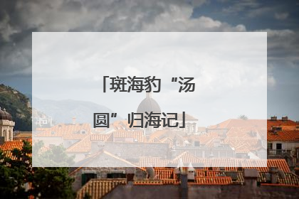 斑海豹“汤圆”归海记