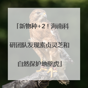 新物种+2！海南科研团队发现素贞灵芝和自然保护地壁虎