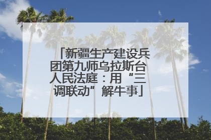 新疆生产建设兵团第九师乌拉斯台人民法庭：用“三调联动”解牛事