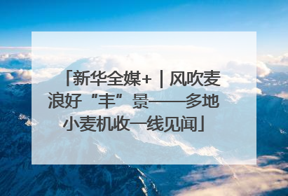 新华全媒+｜风吹麦浪好“丰”景——多地小麦机收一线见闻