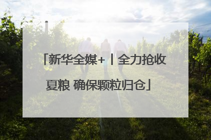 新华全媒+丨全力抢收夏粮 确保颗粒归仓