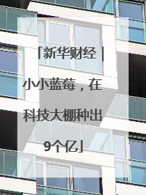 新华财经｜小小蓝莓，在科技大棚种出9个亿