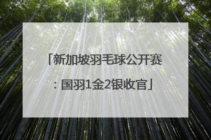 新加坡羽毛球公开赛：国羽1金2银收官