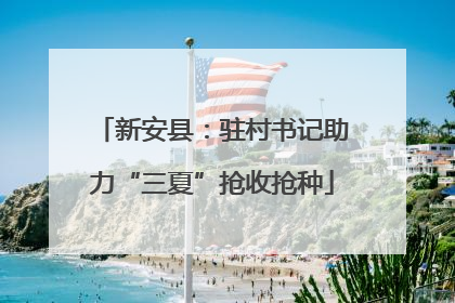 新安县：驻村书记助力“三夏”抢收抢种