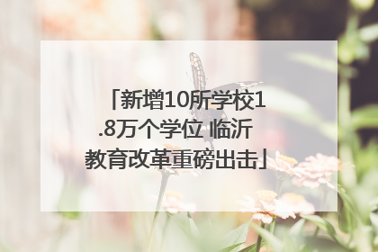 新增10所学校1.8万个学位 临沂教育改革重磅出击