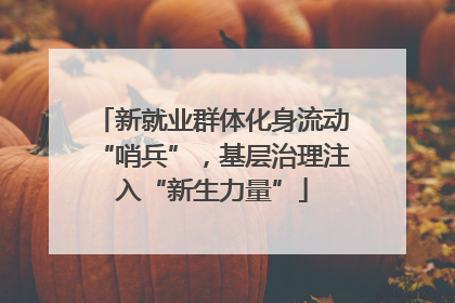 新就业群体化身流动“哨兵”，基层治理注入“新生力量”