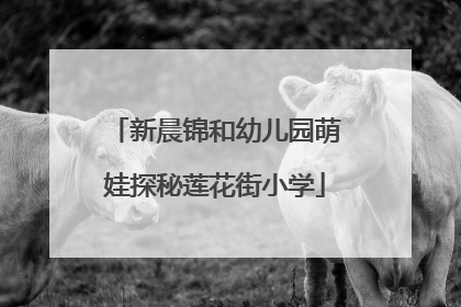 新晨锦和幼儿园萌娃探秘莲花街小学