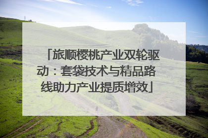 旅顺樱桃产业双轮驱动：套袋技术与精品路线助力产业提质增效
