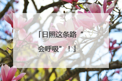 日照这条路“会呼吸”！