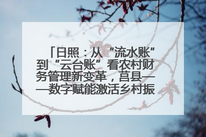 日照：从“流水账”到“云台账”看农村财务管理新变革，莒县——数字赋能激活乡村振兴“一池春水”