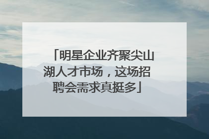 明星企业齐聚尖山湖人才市场，这场招聘会需求真挺多