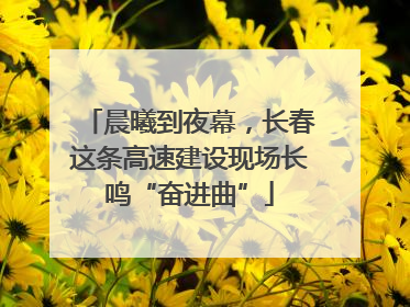 晨曦到夜幕，长春这条高速建设现场长鸣“奋进曲”