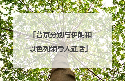 普京分别与伊朗和以色列领导人通话