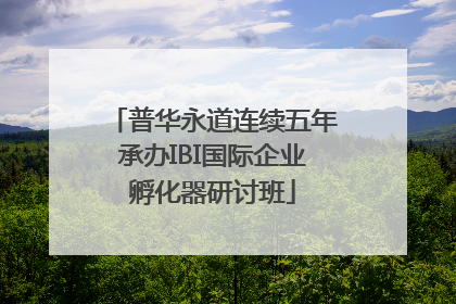 普华永道连续五年承办IBI国际企业孵化器研讨班