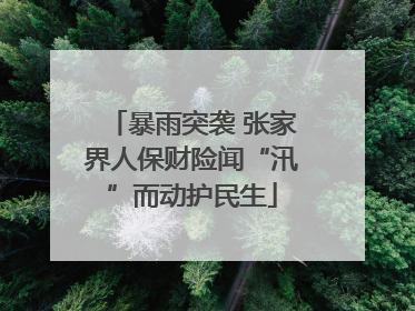暴雨突袭 张家界人保财险闻“汛”而动护民生